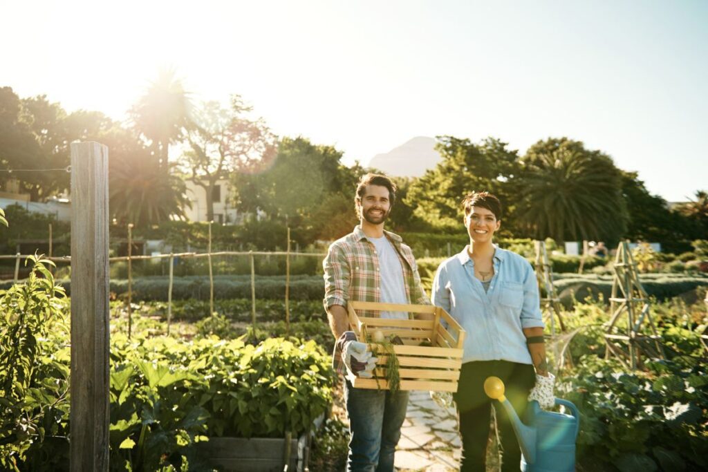 Young couple working on their vegetable garden. Babcock Ranch