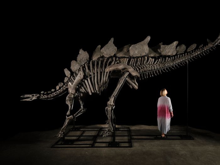 Billionaire investor Ken Griffin pays $45 million for dinosaur fossil