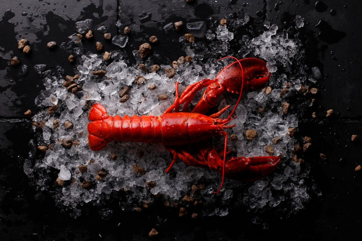 Who Owns Red Lobster Restaurants? - Finblog