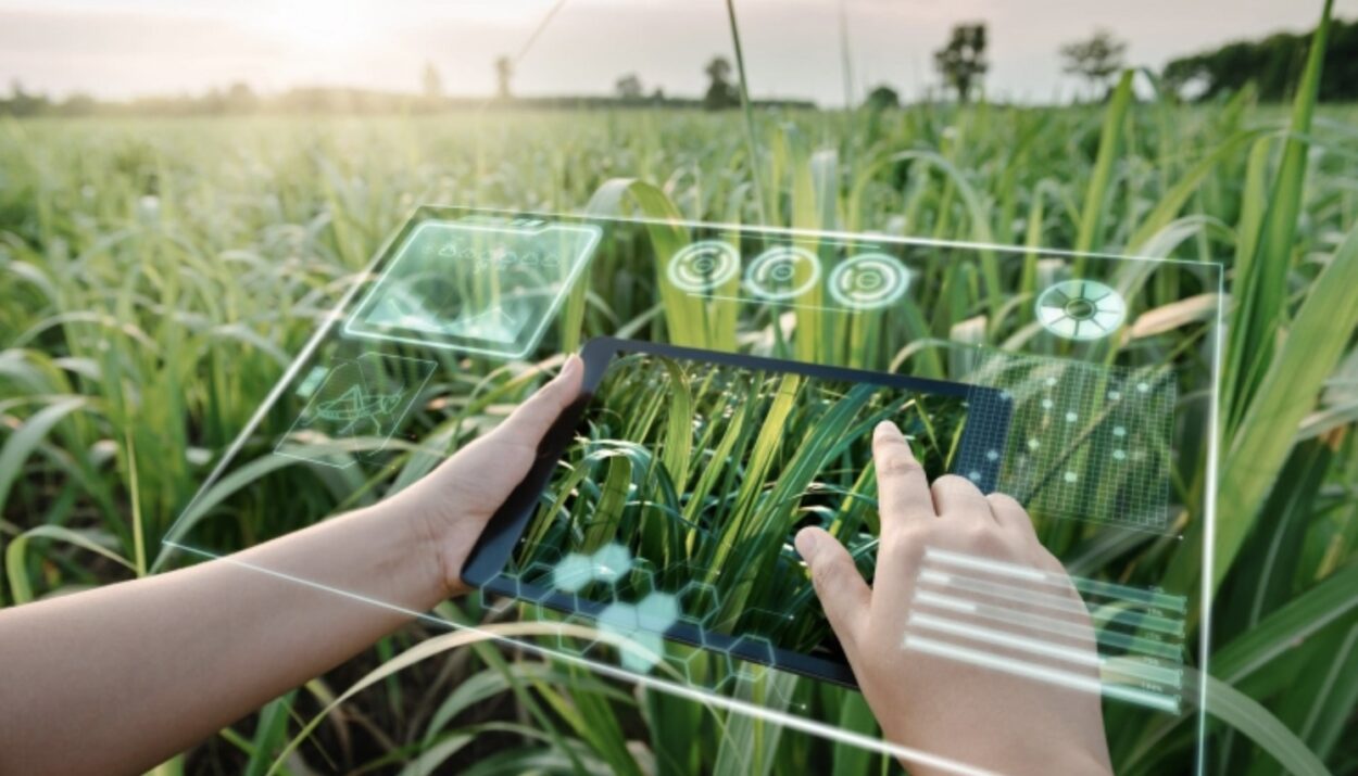 AI in Agriculture