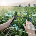 AI in Agriculture