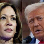 2024 election, Kamala Harris , Donald Trump