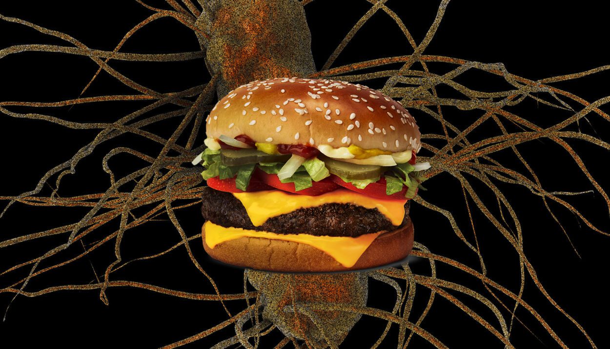 E. coli in McDonald's Quarter Pounders Kills One, Sickens 49