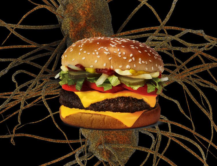 E. coli in McDonald's Quarter Pounders Kills One, Sickens 49