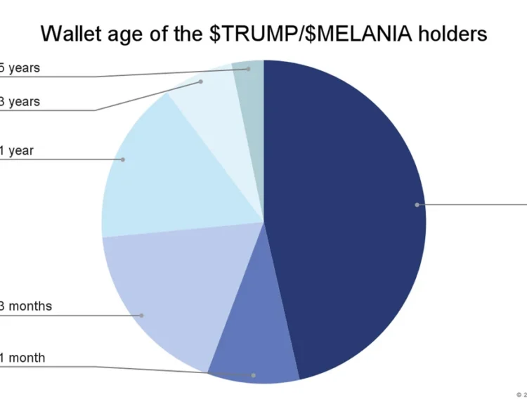 77-of-trump-memecoin-holders-made-less-than-100-50-of-trump-v0-fpifs815s7fe1