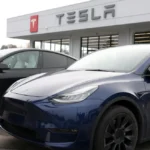 Tesla posts its first-ever annual sales drop