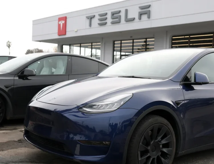 Tesla posts its first-ever annual sales drop