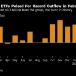 Here Are All the Reasons Why Bitcoin Fall From a Record