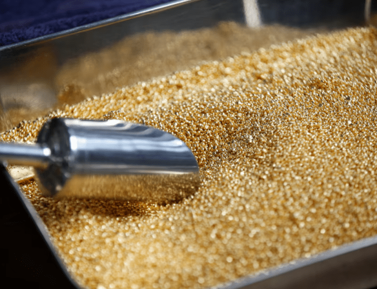 Gold Pulls Back After Record Run as Goldman Lifts 2026 Target to $5,400