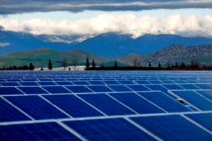 Renewable Energy Investments Show One Booming Sector